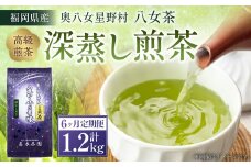 【6ヶ月定期便】【八女茶】奥八女星野村 深蒸し高級煎茶 (深蒸し茶) 100g×2袋