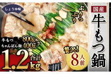 国産もつ鍋 8人前 冷凍ちゃんぽん・濃縮スープ付き（醤油味）