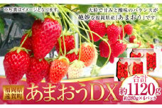 あまおうDX 約280g×4パック あまおう いちご イチゴ 苺 果物 くだもの フルーツ【2025年2月上旬～4月上旬発送予定】