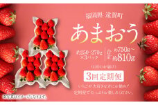 【3回定期便】あまおう 3パック 計約750～810g  ×3回 あまおう いちご イチゴ 苺 果物 くだもの フルーツ 定期便【2025年1月下旬～3月下旬発送予定】