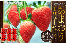 あまおうボリュームセット 6パック 計約1500～1620g あまおう いちご イチゴ 苺 果物 くだもの フルーツ【2025年2月上旬～4月上旬発送予定】
