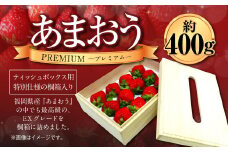 ティッシュボックス用 特別仕様の桐箱入り プレミアム あまおう 約400g×1パック あまおう いちご イチゴ 苺 果物 くだもの フルーツギフト お祝い 贈答用【2025年2月上旬～4月上旬発送予定】