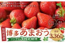 博多 あまおう リッチな 3回 定期便 計約 3360g 福岡 イチゴ いちご 苺 フルーツ【2024年12月上旬～2025年2月下旬発送予定】