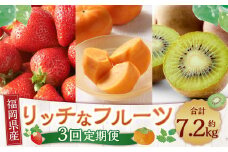 福岡のリッチな フルーツ 3回 定期便 計約 7260g 国産 福岡 イチゴ いちご 苺 柿 キウイ 果物【2024年10月下旬～2025年12月下旬発送予定】