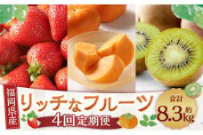 福岡のリッチな フルーツ 4回 定期便 計約 8380g 国産 福岡 イチゴ いちご 苺 柿 キウイ 果物【2024年10月下旬～2025年1月下旬発送予定】