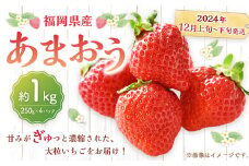 福岡県産 あまおう 1000g （250g × 4パック) 苺 イチゴ いちご 大粒 果物 フルーツ 福岡 福岡県 【2024年12月上旬～下旬発送予定】