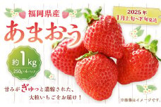 福岡県産 あまおう 1000g （250g × 4パック） 苺 イチゴ いちご 大粒 果物 フルーツ 福岡 福岡県 【2025年1月上旬～下旬発送予定】