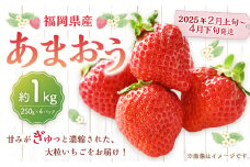 福岡県産 あまおう 1000g（250g × 4パック） 苺 イチゴ いちご 大粒 果物 フルーツ 福岡 福岡県 【2025年2月上旬～4月下旬発送予定】