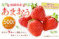 福岡県産 あまおう 500g （250g×2パック）