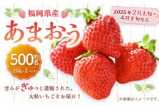 福岡県産 あまおう 500g （250g×2パック）苺 イチゴ いちご 大粒 果物 フルーツ 福岡 福岡県【2025年2月上旬～4月下旬発送予定】