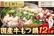 【2025年3月発送】国産黒毛和牛もつ鍋ミックスホルモン 12人前 冷凍ちゃんぽん・濃縮スープ付 鍋 モツ 醤油味