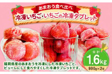 【あまおう食べ比べ】冷凍いちご 800g・いちごの冷凍タブレット 800g 冷凍フルーツ 苺 イチゴ あまおう