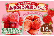 福岡県産 ブランド【あまおう】冷凍いちご 1600g 冷凍フルーツ 苺 イチゴ あまおう