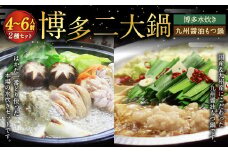 【博多鍋セット2】博多の人気2大鍋のセット「九州醤油もつ鍋」と「博多水炊き（切り身）」計4～6人前 国産 モツ 醤油 水炊き 鶏肉 牛モツ 鍋