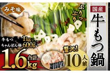 国産 牛もつ鍋 10人前 ちゃんぽん 濃縮スープ付（みそ味）