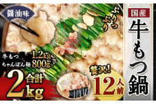 国産 牛もつ鍋 12人前 ちゃんぽん 濃縮スープ付（醤油味）