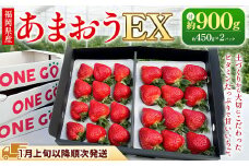 【ギフト用／特別栽培】 福岡県産 あまおう EX 約450g×2パック 【2026年1月上旬～3月下旬発送予定】 いちご イチゴ 苺 フルーツ 果物 くだもの ギフト 贈答用 贈り物 福岡県 遠賀町