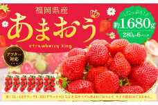【アフター対応】あまおう 約280g×6パック 【2026年1月上旬～3月下旬発送予定】 苺 イチゴ いちご 果物 フルーツ福岡県 遠賀町