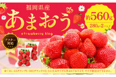 【アフター対応】あまおう 約280g×2パック 【2026年1月上旬～3月下旬発送予定】 苺 イチゴ いちご 果物 フルーツ 福岡県 遠賀町
