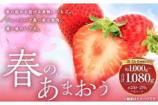 春のあまおう （2L ・ 2A ・ G規格以上 6パック） 【数量限定】 【2026年3月上旬～4月下旬発送予定】 あまおう 苺 いちご 果物 果実 フルーツ 九州 福岡県 遠賀町 冷蔵