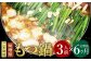 【6ヶ月定期便】 博多もつ鍋 味噌味 3人前 国産牛モツ ちゃんぽん麺 ホルモン