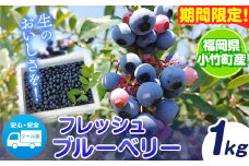  ブルーベリー 数量限定 1kg 生 フルーツ 果物 国産 送料無料 山の里自然農園 未冷凍 【着日指定不可】《7月上旬-8月中旬頃出荷(土日祝除く)》