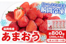 冷凍あまおう 約800g(約200g×4袋) 《1-5営業日以内に出荷予定(土日祝除く)》いちご 福岡県 鞍手郡 小竹町 送料無料