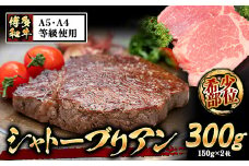 A4・A5等級のみ使用 博多和牛 シャトーブリアン 300g（150g×2枚）ヒレ 希少部位《30日以内に出荷予定(土日祝除く)》博多和牛 小竹町　肉の筑前屋　牛肉