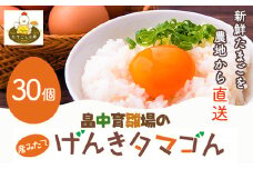 畠中育雛場のげんきタマゴん 30個 《30日以内に出荷予定(土日祝除く)》福岡県 鞍手郡 小竹町 卵 送料無料 有限会社畠中育雛場