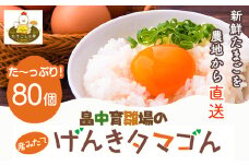 畠中育雛場のげんきタマゴん 80個 《30日以内に出荷予定(土日祝除く)》福岡県 鞍手郡 小竹町 卵 送料無料 有限会社畠中育雛場