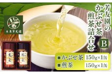 芳友園のかぶせ茶・煎茶詰合せB 各150g×1缶 合計300g 株式会社木屋芳友園《30日以内に出荷予定(土日祝除く)》 福岡県 鞍手郡 小竹町 緑茶 日本茶 お茶 茶 煎茶 かぶせ茶 八女茶 送料無料