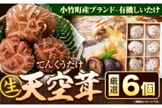 椎茸 生椎茸 しいたけ 天空茸 6個 《30日以内に出荷予定(土日祝除く)》アーマット福岡 有機栽培 きのこ 福岡県 小竹町 野菜 天ぷら 煮物 ミッションバレーゴルフクラブ