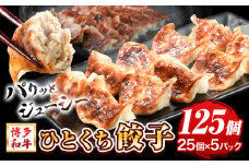 餃子 一口餃子 ひとくち 博多和牛 冷凍 25個 × 5パック 125個 清柳食産《30日以内に出荷予定(土日祝除く)》九州産 牛 肉 送料無料 冷凍 鞍手郡 小竹町 牛肉 肉料理 和牛 博多和牛 揚げ餃子 水餃子