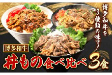 博多和牛 牛丼 ハヤシ丼 カルビ丼 丼ものセット 各 200g x 1パック 600g 清柳食産《30日以内に出荷予定(土日祝除く)》肉 牛肉 和牛 丼 送料無料 鞍手郡 小竹町 お弁当 おかず 小分け パック 冷凍