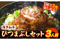 牛肉 博多和牛 ひつまぶし セット 3人前 清柳食産《30日以内に出荷予定(土日祝除く)》 国産 九州産 牛 肉 送料無料 冷凍 肉料理 和牛 博多和牛 惣菜 どんぶり 丼 福岡県 鞍手郡 小竹町