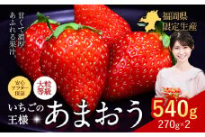 ★2026年出荷分★【先行予約】あまおう いちご 540g 苺 送料無料 【着日指定不可】《2月中旬-4月末頃出荷》 イチゴ 果物 フルーツ 福岡県 鞍手郡 小竹町