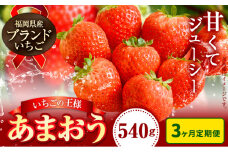 いちご あまおう 先行予約 いちご 大量 540g 選べる発送時期 定期便 フルーツ《2026年1月から出荷開始》苺 旬 くだもの 果物 福岡県 小竹町
