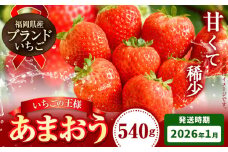 いちご あまおう 先行予約 いちご 大量 540g 選べる発送時期 定期便 フルーツ《2026年1月上旬-1月末頃出荷》苺 旬 くだもの 果物 福岡県 小竹町