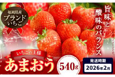 いちご あまおう 先行予約 いちご 大量 540g 選べる発送時期 定期便 フルーツ《2026年2月上旬-2月末頃出荷》苺 旬 くだもの 果物 福岡県 小竹町