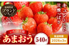 いちご あまおう 先行予約 いちご 大量 540g 選べる発送時期 定期便 フルーツ《2026年3月上旬-3月中旬頃出荷》苺 旬 くだもの 果物 福岡県 小竹町