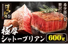 博多和牛 ヒレシャトーブリアンステーキ 600g 久田精肉店株式会社《30日以内に出荷予定(土日祝除く)》小竹町 博多和牛 牛肉 赤身 A5等級 厳選 シャトーブリアン ステーキ 国産 送料無料