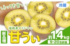 甘うぃ 約1.4kg 9-20玉前後《10月中旬-11月末頃出荷》福岡県 鞍手郡 鞍手町 キウイフルーツ キウイ 福岡県オリジナル 新品種 甘うぃ 果物 くだもの フルーツ【配送不可地域あり】
