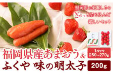 福岡県産あまおう & ふくや味の明太子 200g 南国フルーツ株式会社《12月上旬-3月末頃出荷》福岡県 小竹町 あまおう いちご めんたいこ 明太子 セット 送料無料【配送不可地域あり】