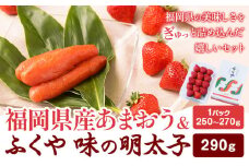 福岡県産あまおう & ふくや味の明太子 290g 南国フルーツ株式会社《12月上旬-3月末頃出荷》福岡県 小竹町 あまおう いちご めんたいこ 明太子 セット 送料無料【配送不可地域あり】