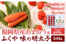 福岡県産あまおうギフト箱 & ふくや味の明太子 540g 南国フルーツ株式会社《12月上旬-3月末頃出荷》福岡県 小竹町 あまおう いちご めんたいこ 明太子 セット 送料無料【配送不可地域あり】
