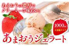 あまおうジェラート 1000ml 南国フルーツ株式会社《30日以内に出荷予定(土日祝除く)》福岡県 小竹町 あまおう いちご ジェラート 果物 送料無料