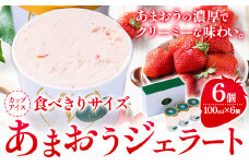 あまおうジェラート 100ml×6個 南国フルーツ株式会社《30日以内に出荷予定(土日祝除く)》福岡県 小竹町 あまおう いちご ジェラート 果物 送料無料