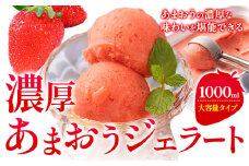 濃厚あまおうジェラート 1000ml 南国フルーツ株式会社《30日以内に出荷予定(土日祝除く)》福岡県 小竹町 あまおう いちご ジェラート 果物 送料無料