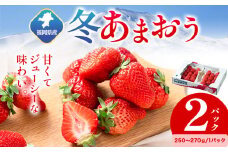 福岡県産 冬あまおう 2パック 南国フルーツ株式会社《12月上旬-1月末頃出荷》福岡県 小竹町 あまおう いちご イチゴ 送料無料【配送不可地域あり】