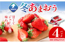 福岡県産 冬あまおう 4パック 南国フルーツ株式会社《12月上旬-1月末頃出荷》福岡県 小竹町 あまおう いちご イチゴ 送料無料【配送不可地域あり】